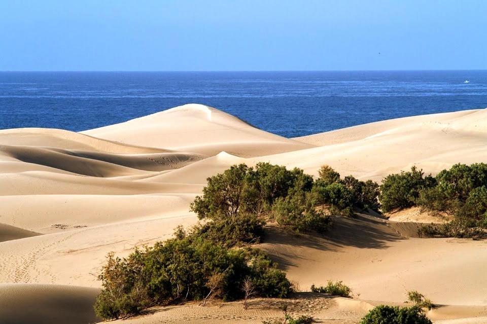 Cozy Bungalow Maspalomas Green 외부 사진
